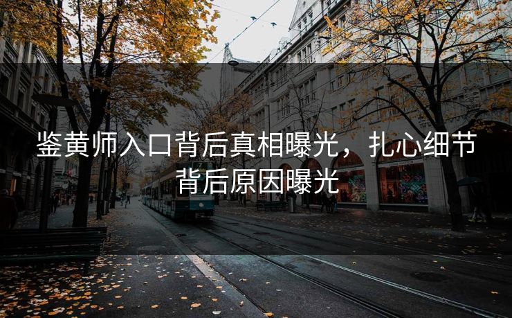 鉴黄师入口背后真相曝光，扎心细节背后原因曝光