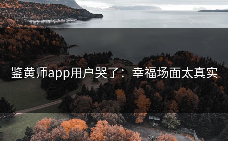 鉴黄师app用户哭了：幸福场面太真实