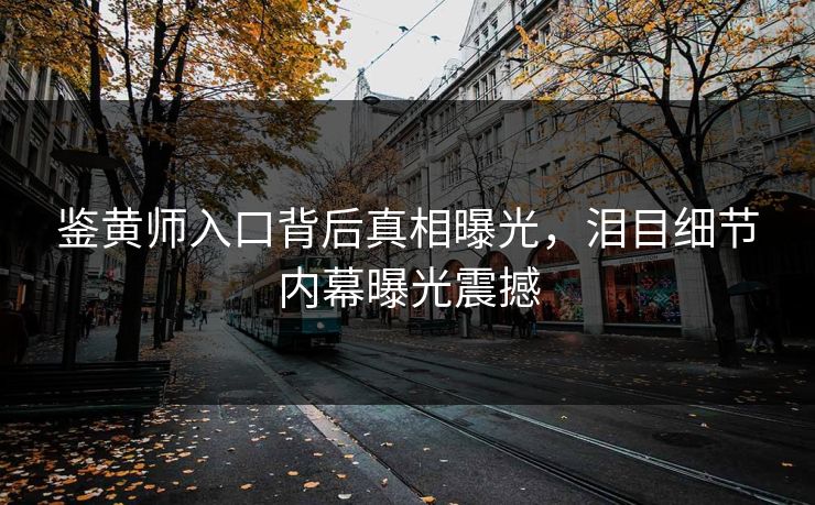 鉴黄师入口背后真相曝光，泪目细节内幕曝光震撼