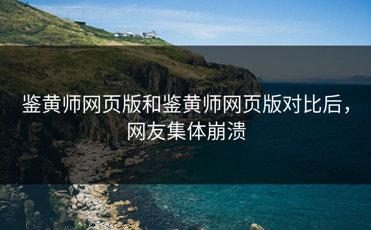 鉴黄师网页版和鉴黄师网页版对比后，网友集体崩溃