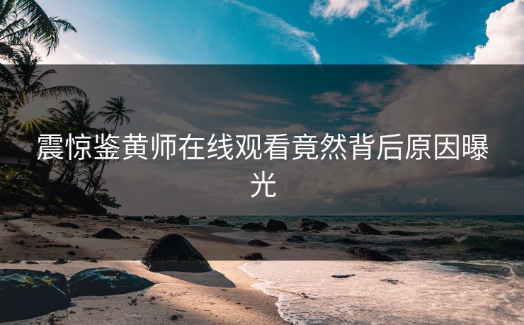 震惊鉴黄师在线观看竟然背后原因曝光