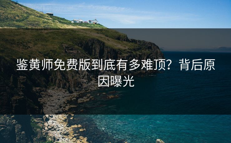 鉴黄师免费版到底有多难顶？背后原因曝光