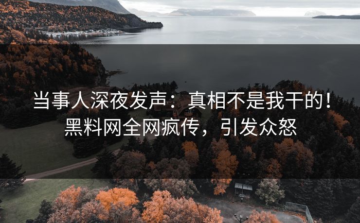 当事人深夜发声：真相不是我干的！黑料网全网疯传，引发众怒