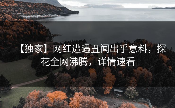 【独家】网红遭遇丑闻出乎意料，探花全网沸腾，详情速看