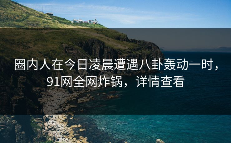 圈内人在今日凌晨遭遇八卦轰动一时，91网全网炸锅，详情查看